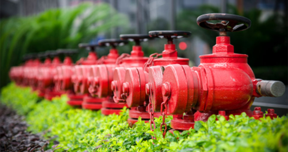 完善的质量保障体系